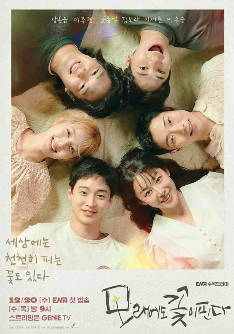 Like Flowers in Sand